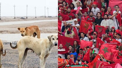 പ്രതീകാത്മക ചിത്രം പ്രതീകാത്മക ചിത്രം