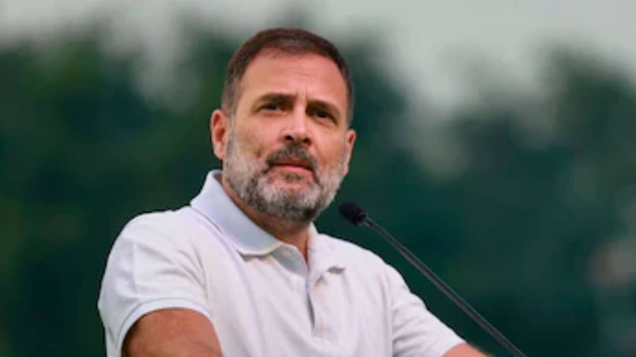 രാഹുൽ ഗാന്ധിയുടെ ഒറ്റയ്ക്കുള്ള പോരാട്ടം കോൺഗ്രസിനെ എങ്ങോട്ട് നയിക്കും?