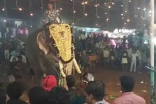 തിരൂരിൽ പുതിയങ്ങാടി നേർച്ചക്കിടെ ആന ഇടഞ്ഞു; ഒരാളെ തൂക്കി എറിഞ്ഞു, നിരവധി പേർക്ക് പരിക്ക്
