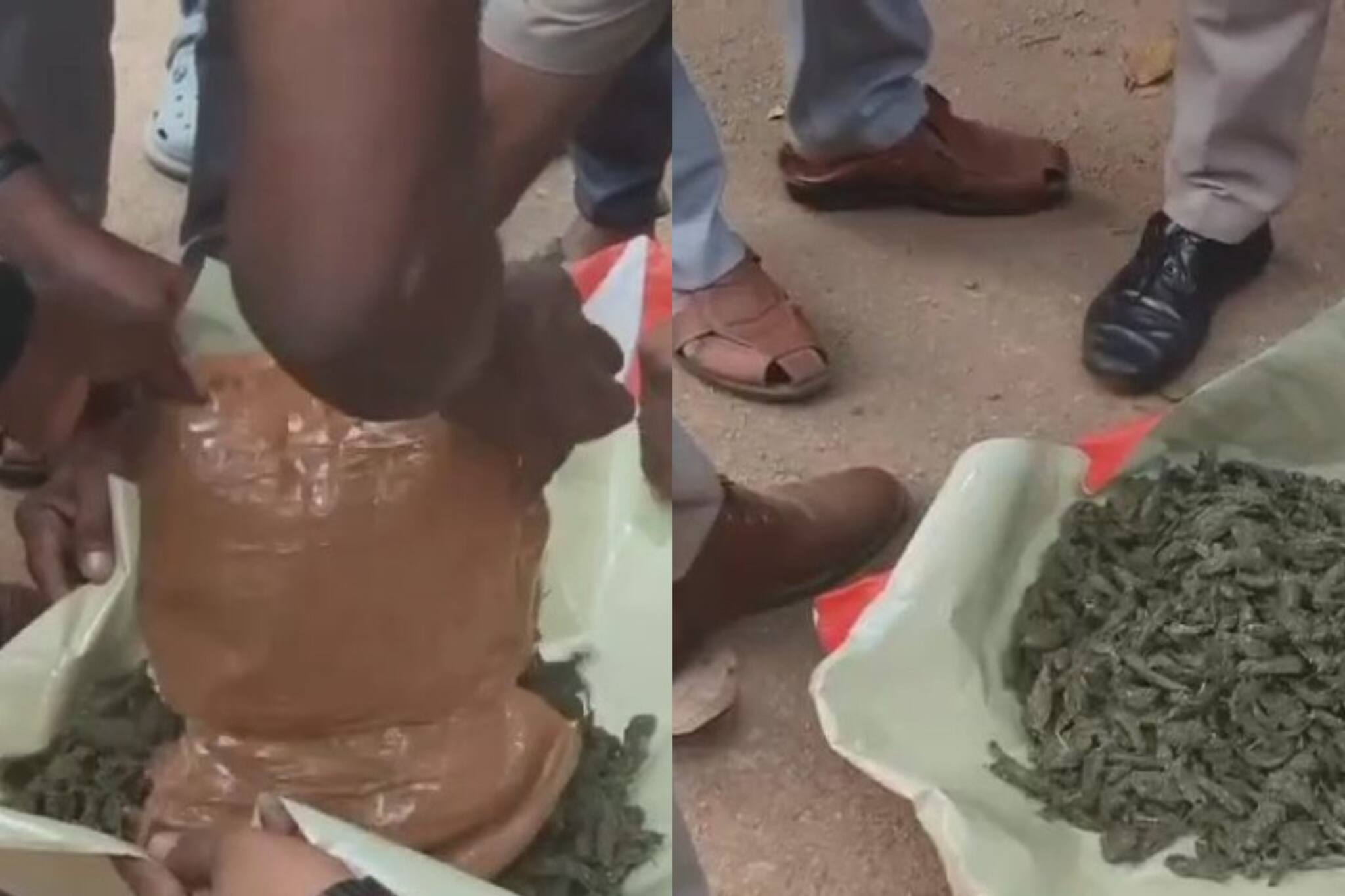 കൊല്ലത്തെ വാടകവീട്ടിലേക്ക് ഓട്ടോ വിളിച്ച് യാത്രപോയ യുവതി കടത്താൻ ശ്രമിച്ച വസ്തുവുമായി പോലീസ് പിടിയിൽ