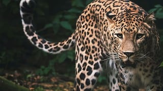 പ്രതീകാത്മചിത്രം