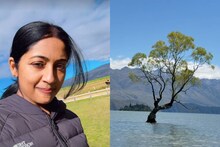 Navya Nair | സ്വർണംകായ്ക്കുന്ന മരമല്ല, എന്നാലും... നവ്യ നായർ പന്ത്രണ്ടായിരം കിലോമീറ്റർ യാത്രപോയത് ആ കാഴ്ച കാണാൻ