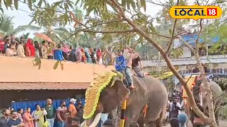 മേപ്പയൂർ ഫെസ്റ്റിലെ പ്രഥമ ദിവസം ആനയുടെ എഴുന്നള്ളിപ്പ് 