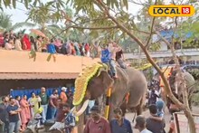 ജനകീയ സാംസ്കാരിക ഉത്സവമായ മേപ്പയൂർ ഫെസ്റ്റിന് തുടക്കം