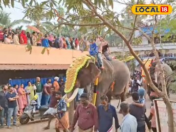 മേപ്പയൂർ ഫെസ്റ്റിലെ പ്രഥമ ദിവസം ആനയുടെ എഴുന്നള്ളിപ്പ് 