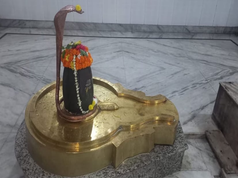  തേങ്ങാവെള്ളം: ശിവരാത്രി ദിനത്തിൽ ശിവനെ പാൽ, വെള്ളം, തേൻ, നെയ്യ്, തൈര് എന്നിവ കൊണ്ട് അഭിഷേകം ചെയ്യുന്നത് ഉത്തമമാണ്, എന്നാൽ ശിവലിംഗത്തിൽ തേങ്ങാവെള്ളം അർപ്പിക്കുന്നത് അശുഭകരമായി കണക്കാക്കപ്പെടുന്നു.