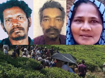 മാനു, ബാബു, സോഫിയ