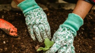 (പ്രതീകാത്മക ചിത്രം) (പ്രതീകാത്മക ചിത്രം)