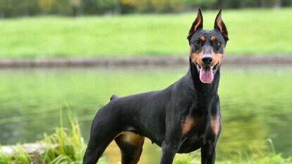 പ്രതീകാത്മക ചിത്രം പ്രതീകാത്മക ചിത്രം