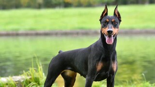 പ്രതീകാത്മക ചിത്രം പ്രതീകാത്മക ചിത്രം