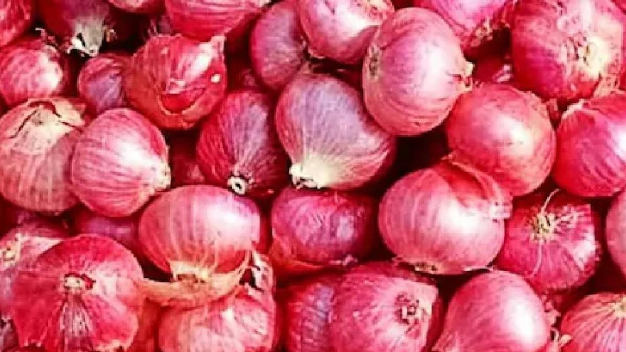 ഉള്ളി വില കൂടുമോ? വിലയിടിവ് തടയാന്‍ കേന്ദ്രം 20 ശതമാനം കയറ്റുമതി തീരുവ പിന്‍വലിച്ചു