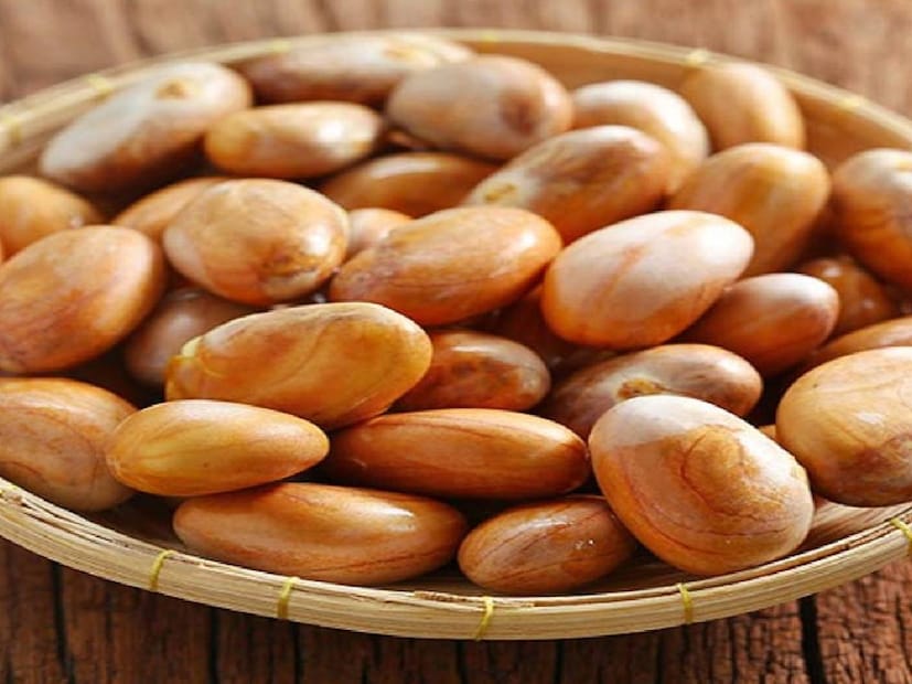 health benefits of jackfruit seeds, jackfruit seed benefits, jackfruit seed, jackfruit seed benefits, jackfruit seed health benefits, jackfruit benefits, incredible benefits of jackfruit seeds, popularity of jackfruit, how to get fair skin, how to make a farm, how to pick dragon fruit, how to pick rambutan, how to pick ripe fruit, how to pick ripe tropical fruit, jackfruit benefits, jackfruit face mask, jackfruit for anti aging, jackfruit for blood pressure, jackfruit for bones, jackfruit for cancer, jackfruit for digestive, jackfruit for food, jackfruit for gastric, jackfruit for insomnia, jackfruit for skin, jackfruit for tiredness, jackfruit history, use mango peel to remove sun tan, jackfruit seeds, jackfruit, health benefits, health, wellness, wellbeing, overall health, superfood Jackfruit, veganism, Jackfruit recipes, jackfruit dish, jackfruit, Jackfruit dishes, Superfood, lancet, ചക്ക,ചക്ക സീസൺ,ചക്കക്കുരു ,ചക്കക്കുരു ഗുണങ്ങൾ,ചക്കക്കുരു കളയേണ്ട, ചക്കക്കുരു ജ്യൂസ്,  ചക്കക്കുരു മിൽക്ക് ഷേക്ക്‌, ചക്കക്കുരു ജ്യൂസ് ഉണ്ടാക്കുന്ന വിധം, ചക്കക്കുരു ഇങ്ങനെ ഉപയോഗിക്കൂ, ചക്കക്കുരു മുഖക്കുരു, ചക്കക്കുരുവിന്റെ ഗുണങ്ങൾ, മുഖക്കുരു മാറാൻ ചക്കക്കുരു, മുഖക്കുരുവിന് പരിഹാരം ചക്കകുരുവിൽ, മുഖുക്കുരു