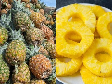 Pineapple | പൈനാപ്പിൾ കഴിക്കാൻ ഇഷ്‌ടമുണ്ടെങ്കിൽ അറിഞ്ഞിരിക്കണം; മനുഷ്യ മാംസത്തിൽ ഈ ഫലം പ്രവർത്തിക്കുന്ന രീതി
