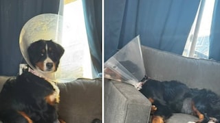 (Photo Credits: Instagram)