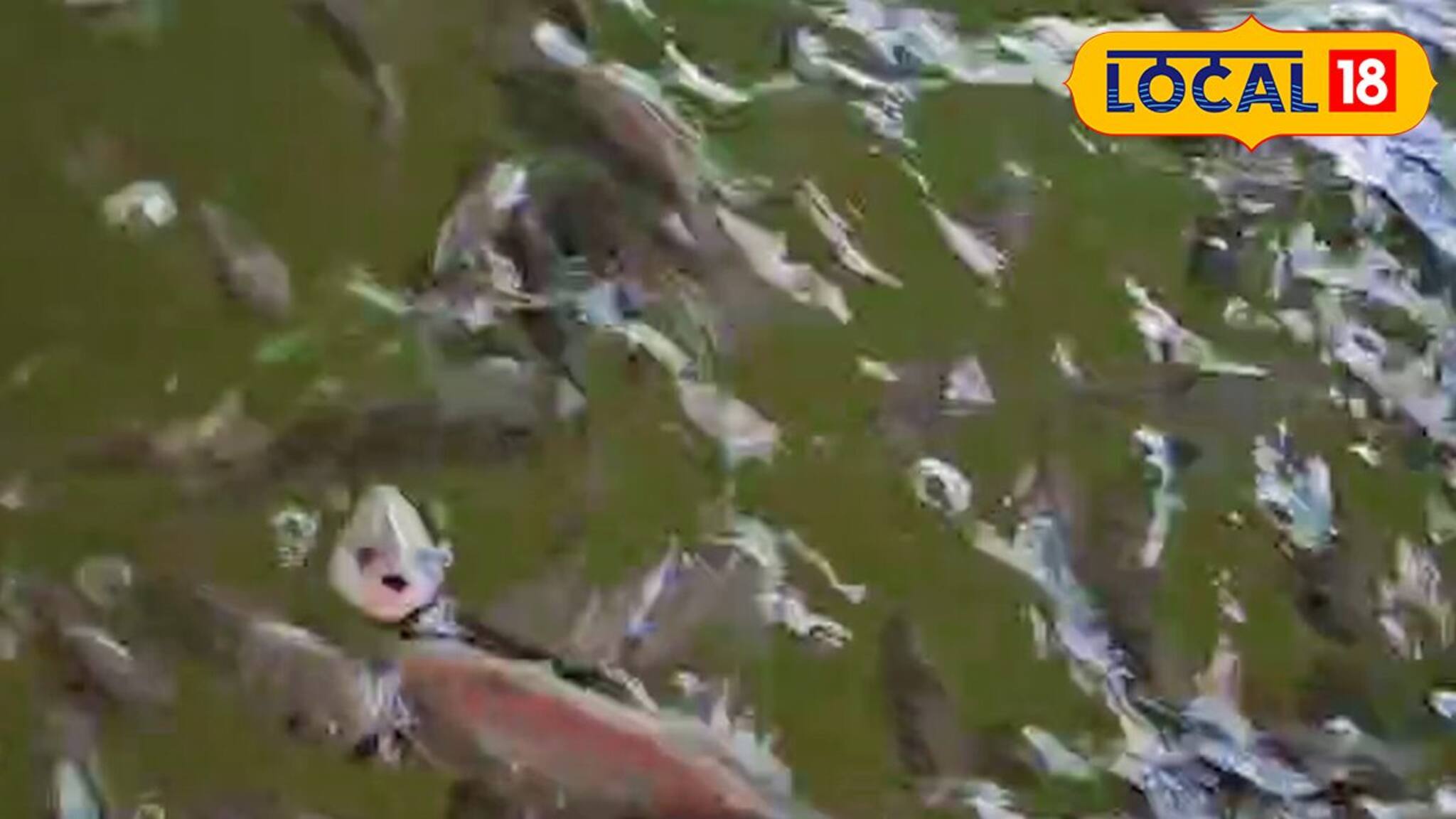 പ്രതിസന്ധികൾ തരണം ചെയ്യാൻ ആരംഭിച്ച വേറിട്ട കൃഷി ഇന്ന് വിജയകുതിപ്പിൽ