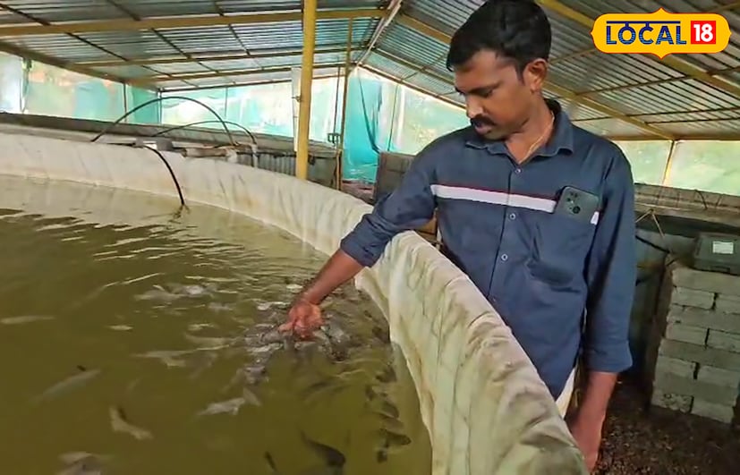  വീട്ടുവളപ്പിൽ ആദായകരമായി മത്സ്യകൃഷി നടത്തുന്ന ഒരു യുവ കർഷകനെ പരിചയപ്പെടാം. പൂഴിക്കുന്നു സ്വദേശിയായ ഷിജുവീൻ്റെ വീട്ടുവളപ്പിൽലാണ് മത്സ്യകൃഷിയും വിപണനവും സജീവമാക്കിയിട്ടുള്ളത്. കെഎസ്ആർടിസി ജീവനക്കാരൻ കൂടിയായ ഒഴുക്കുന്ന പുതുവൽ പുത്തൻ വീട്ടിൽ സിജു കോവിഡ് കാല പ്രതിസന്ധികൾ തരണം ചെയ്യാൻ ആരംഭിച്ചതായിരുന്നു മത്സ്യകൃഷി.