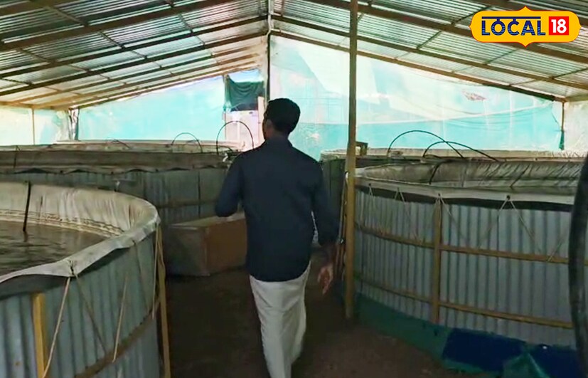  വീടിനോട് ചേർന്നുള്ള 25സെൻറ് സ്ഥലത്ത് ഇസ്രേലിയൻ ടെക്നോളജി ഉപയോഗിച്ച് ഹൈ ഡെൻസിറ്റി ഫിഷ് ഫാർമിംഗ് പ്രകാരമുള്ള കൃഷിയാണ് നടത്തുന്നത്. കുറഞ്ഞ സ്ഥലത്ത് കൂടുതൽ കൃഷി എന്നതാണ് ഈ ടെക്നോളജിയുടെ പ്രത്യേകത. ഇതിലേക്കായി 25000 ലിറ്റർ കൊള്ളുന്ന ഏഴു ടാങ്കുകളാണ് ഇവിടെ ഒരുക്കിയിട്ടുള്ളത്. ഇത്തരത്തിലെ കൃഷി ആയതിനാൽ എയ്റേഷൻ സിസ്റ്റം മുടക്കം വരാതെ പരിപാലിക്കേണ്ടത് നിർബന്ധമാണ്.