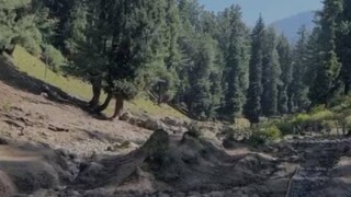 ബൈസരൺ താഴ്‌വര