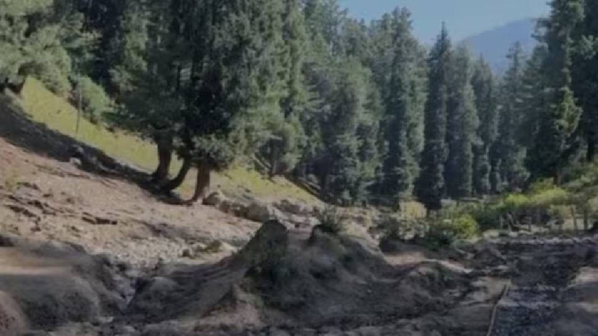 ഭീകരർ പഹൽഗാമിലെ ബൈസരൺ താഴ്വര എന്തുകൊണ്ട് ആക്രമണത്തിന് തിരഞ്ഞെടുത്തു?