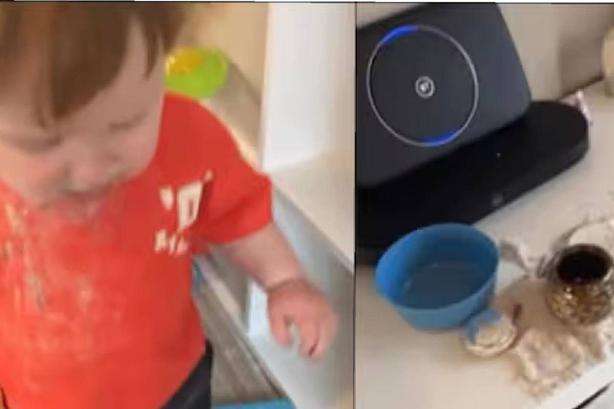 മോനെ നീ അകത്താക്കിയത് നിന്റെ അപ്പൂപ്പനെയാണ് കേട്ടോ !  ഒരു വയസ്സുകാരന്റെ വൈറല്‍ വീഡിയോ