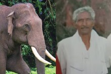 വയനാട് എരുമക്കൊല്ലിയില്‍ കാട്ടാനയുടെ ചവിട്ടേറ്റ് ഒരാള്‍ മരിച്ചു
