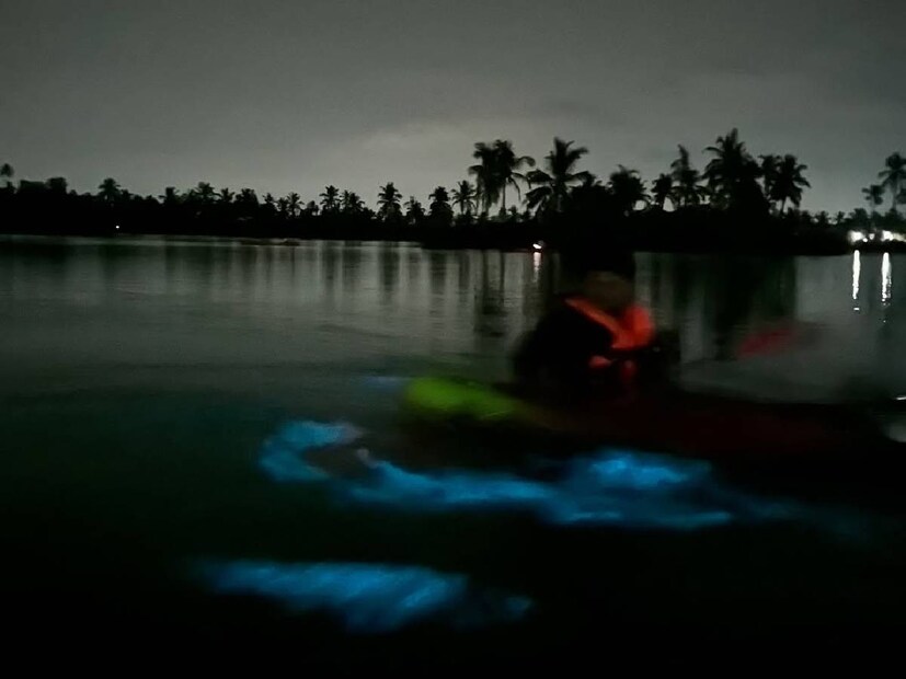 സ്വയം വഞ്ചിതുഴഞ്ഞ്‌ കായലിലൂടെ നീങ്ങുന്ന തന്റെ ചിത്രങ്ങളും ദൃശ്യങ്ങളും അഹാന കൃഷ്ണ പോസ്റ്റ് ചെയ്തിട്ടുണ്ട്. മുൻപ് നോർത്തേൺ ലൈറ്റ്‌സ് കാണാൻ സുഹൃത്തിനൊപ്പം വിദേശത്തേക്ക് യാത്രപോയ തന്റെ ദൃശ്യങ്ങൾ അഹാന കൃഷ്ണ പോസ്റ്റ് ചെയ്തിരുന്നു. അതേ കൗതുകം തന്നെയാണ് അഹാന കൃഷ്ണയുടെ ഈ അനുഭവത്തിലും നിഴലിക്കുന്നത്. മൂന്നര വർഷം മുൻപ് തന്റെ ഇൻസ്റ്റഗ്രാം സ്‌പെയ്‌സിൽ അഹാന കൃഷ്ണ കുറിച്ച ഓർമ്മക്കുറിപ്പിന്റെ സ്ക്രീൻഷോട്ടും അതോടൊപ്പം പോസ്റ്റ് ചെയ്തിരിക്കുന്നു 