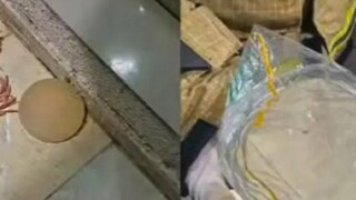 (Screenshot - Instagram/pmdfoficial)