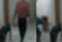 തൊഴിലാളികളെ കഴുത്തിൽ ബെൽറ്റ് ധരിപ്പിച്ച് നായ്ക്കളെ പോലെ നടത്തിച്ചു; കൊച്ചിയിൽ കൊടും ക്രൂരത