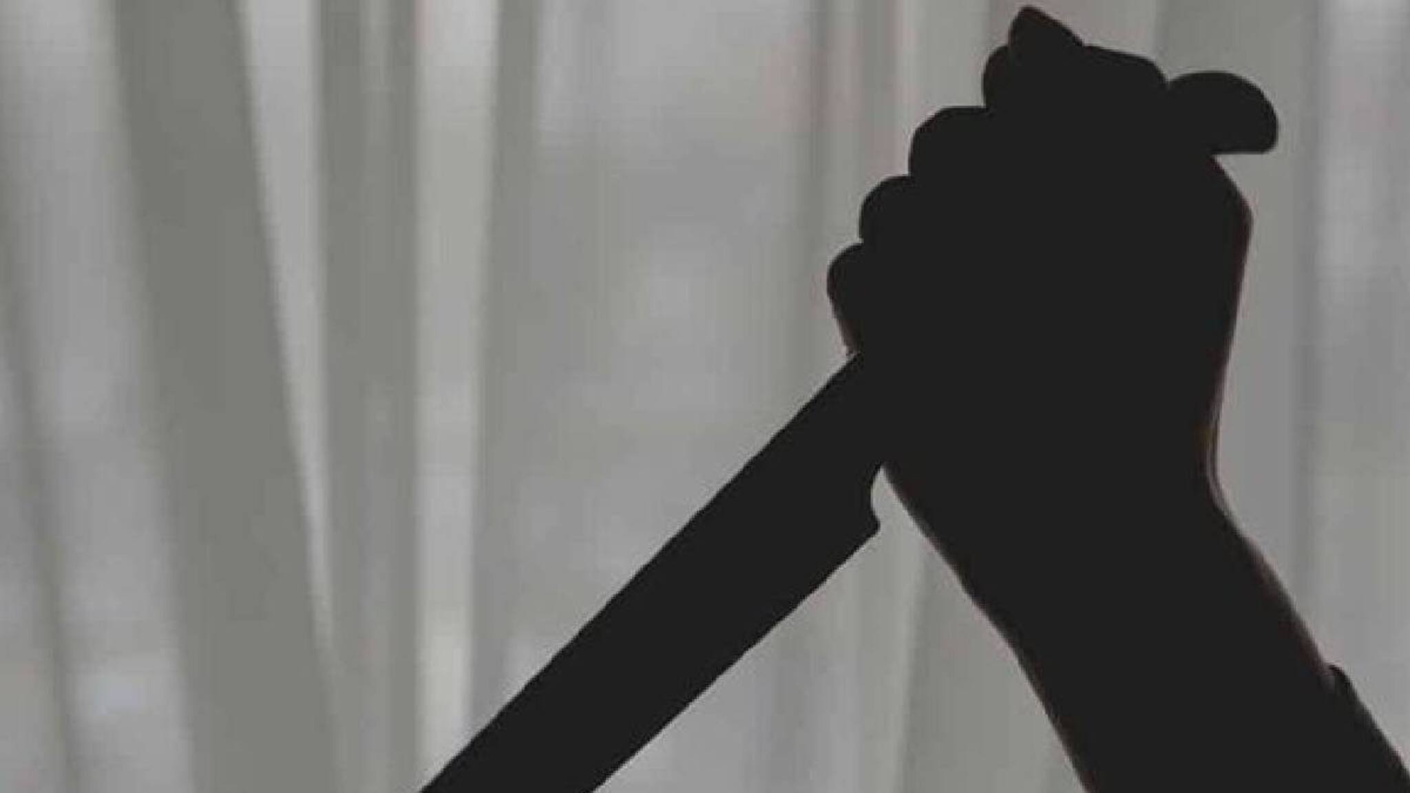 ആലപ്പുഴയിൽ അമ്മയെ 17കാരിയായ മകൾ കുത്തിപ്പരിക്കേൽപ്പിച്ചത് നായ മൂത്രമൊഴിച്ചത് കഴുകിക്കളയാൻ പറഞ്ഞതിന്; പിതാവിന്റെ മൊഴിയിൽ  മകൾക്കെതിരെ കേസ്