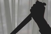 ആലപ്പുഴയിൽ അമ്മയെ 17കാരിയായ മകൾ കുത്തിപ്പരിക്കേൽപ്പിച്ചത് നായ മൂത്രമൊഴിച്ചത് കഴുകിക്കളയാൻ പറഞ്ഞതിന്