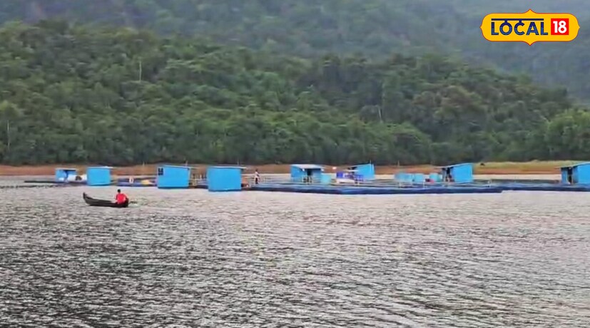  ജനകീയ ഉത്സവമാക്കിക്കൊണ്ട് ജൂൺ മാസത്തിൽ പാലംപണി പൂർത്തിയാക്കി പൊതുജനങ്ങൾക്ക് വിട്ടു നൽകാനുള്ള ഒരുക്കത്തിലാണ് അധികൃതർ.
