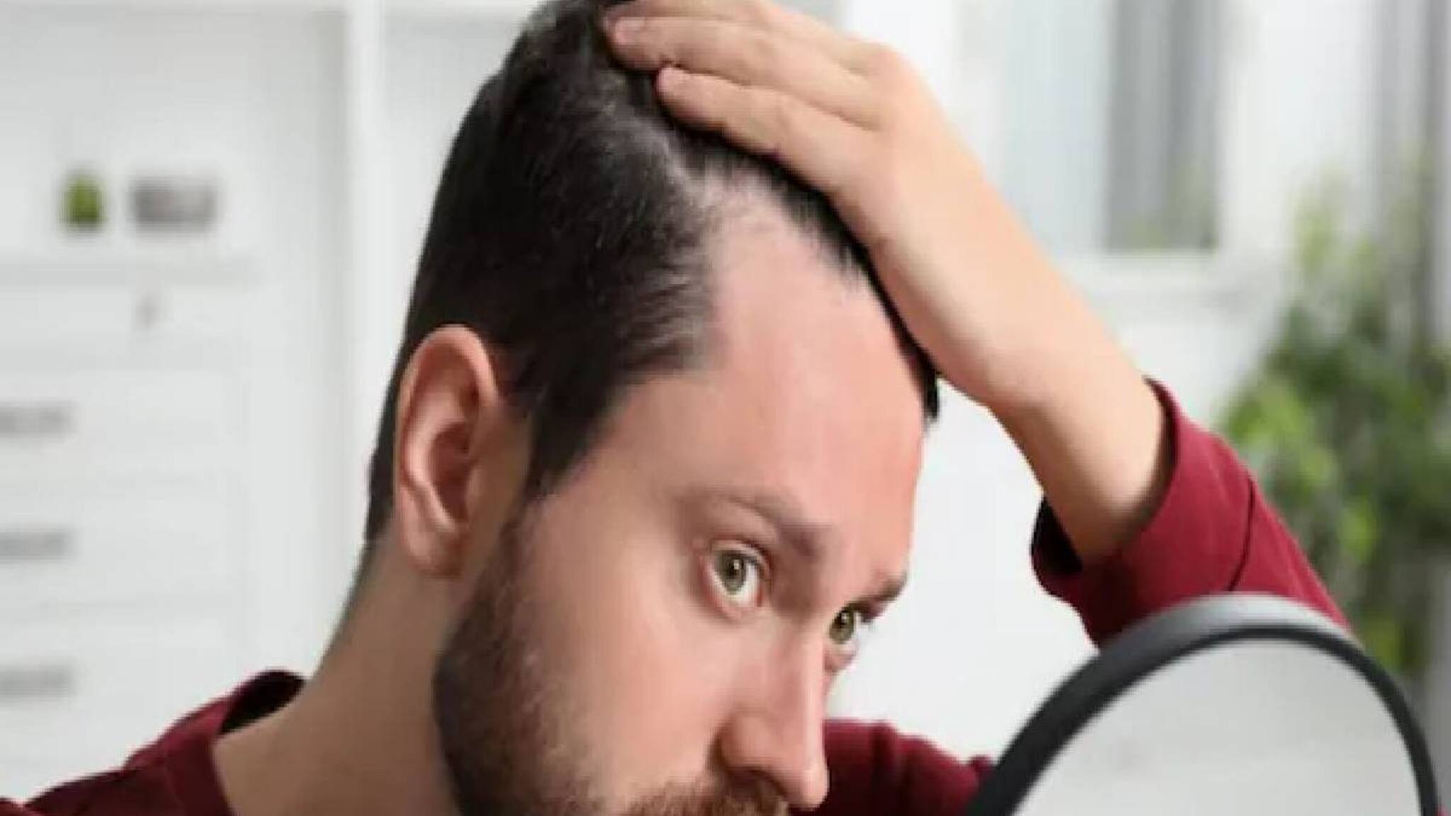 ആരോഗ്യമുള്ള മുടി വേണോ? ഈ 5 ഭക്ഷണങ്ങൾ നിങ്ങളുടെ ഭക്ഷണക്രമത്തിൽ ഉൾപ്പെടുത്തൂ