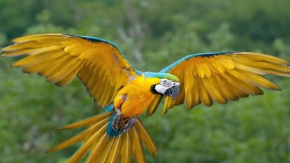 പ്രതീകാത്മക ചിത്രം പ്രതീകാത്മക ചിത്രം