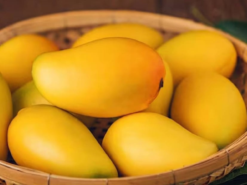 100 ഗ്രാം മാമ്പഴം 765 മില്ലിഗ്രാം അല്ലെങ്കിൽ വിറ്റാമിൻ എ യുടെ ദൈനംദിന അളവിന്റെ 25 ശതമാനം നൽകുന്നു. ഇത് നമ്മുടെ ശരീരത്തിന് വളരെ പ്രധാനമാണ്. ജൈവ മാമ്പഴത്തിൽ ടാർടാറിക് ആസിഡ്, മാലിക് ആസിഡ്, സിട്രിക് ആസിഡ് എന്നിവയുടെ അംശം കൂടുതലാണ്, ഇത് പ്രധാനമായും ശരീരത്തിന്റെ ക്ഷാര നില നിലനിർത്താൻ സഹായിക്കുന്നു.