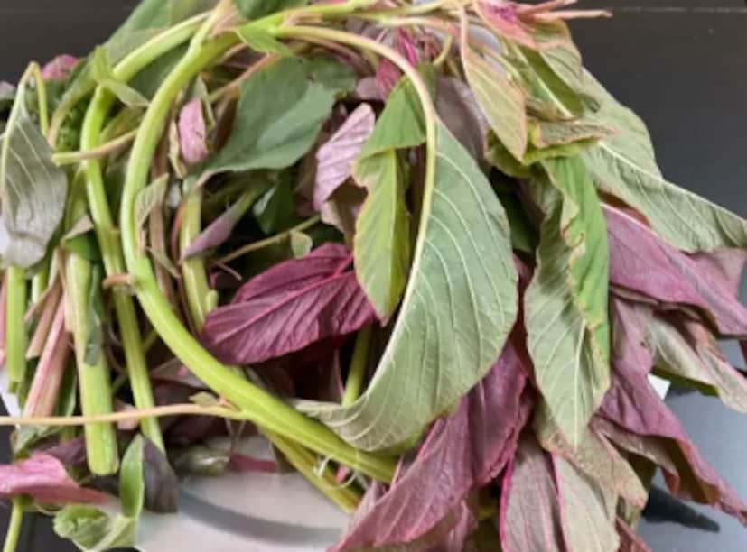  ചീര ഇല (Leaves of amaranth): ചീര ഇല മുടിയുടെ ആരോഗ്യത്തിന് വളരെയധികം ഗുണം ചെയ്യും. ഇരുമ്പ്, കാൽസ്യം, വിറ്റാമിൻ എ, വിറ്റാമിൻ സി എന്നിവ കൂടുതലായി അടങ്ങിയ ഈ ഇലക്കറികൾ തലയോട്ടിയിലേക്കുള്ള രക്തയോട്ടം മെച്ചപ്പെടുത്തുന്നതിനും മുടിയ്ക്ക് ആവശ്യമായ പോഷകങ്ങൾ നൽകുന്നതിനും സഹായിക്കുന്നു.  തലയോട്ടിയിലെ പ്രകൃതിദത്ത കണ്ടീഷണറായ സെബത്തിന്റെ ഉത്പാദനത്തിനും വിറ്റാമിൻ എ സഹായിക്കുന്നു.