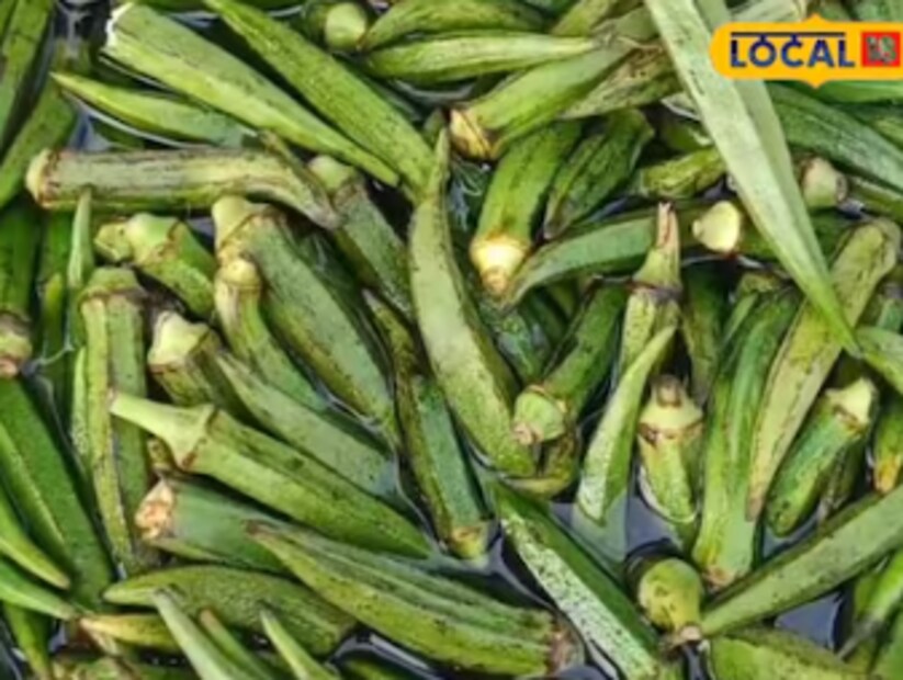 വെണ്ടയ്ക്ക ​ദഹ​ന​ത്തി​നു ശേ​ഷം ​കു​ട​ലി​ലൂ​ടെ​യു​ള​ള ആഹാരത്തിന്&#x200d;റെ ച​ല​നം സു​ഗ​മ​മാ​ക്കു​ന്നു. ദ​ഹ​നേ​ന്ദ്രി​യത്തിന്റെ ആ​രോ​ഗ്യം നി​ല​നി​ർ​ത്താനും വെണ്ടയ്ക്ക സഹായിക്കുന്നു.​ വെ​ണ്ട​യ്ക്ക​യി​ലു​ള​ള ജ​ല​ത്തി​ൽ ലയി​ക്കാ​ത്ത ത​രം നാ​രു​ക​ൾ ദ​ഹ​നേ​ന്ദ്രി​യ വ്യവസ്ഥയെയും പ്ര​ത്യേ​കി​ച്ച് അ​ന്ന​നാ​ളം മാ​ലി​ന്യ​വി​മു​ക്ത​മാ​ക്കാനും സഹായകമാണ്.