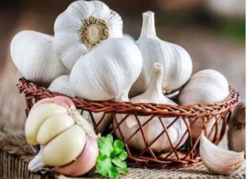 Garlic | ദഹന പ്രശ്നമുണ്ടോ? വെളുത്തുള്ളി ഡയറ്റിൽ ഉൾപ്പെടുത്തൂ...