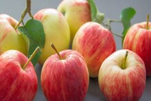 Health Benefits of Apple| ഒരു ദിവസം ഒന്നിൽ കൂടുതൽ ആപ്പിൾ കഴിക്കാമോ?