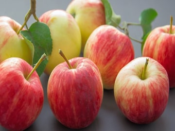 Apple