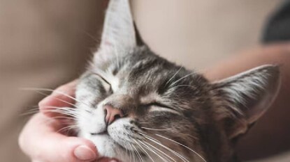 (പ്രതീകാത്മക ചിത്രം) (പ്രതീകാത്മക ചിത്രം)