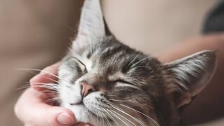 (പ്രതീകാത്മക ചിത്രം) (പ്രതീകാത്മക ചിത്രം)