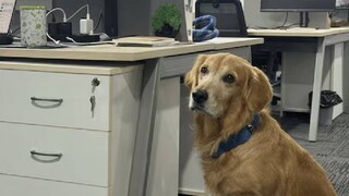 ഡെന്വര്
ഡെന്വര്