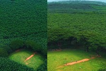 സോഷ്യൽമീഡിയയിൽ വൈറലായ ​'ആമസോൺ വനത്തിന് നടുവിലെ' മൈതാനം ; ഇവിടെ തൃശൂരിലാ