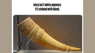 കാട്ടാളൻ