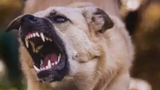 (പ്രതീകാത്മക ചിത്രം)