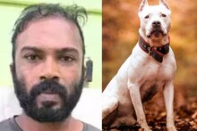 എപ്പോഴും കളിയാക്കുന്നുവെന്ന തോന്നൽ‌! അയൽവാസിയെ പിറ്റ്ബുള്ളിനെ കൊണ്ട് യുവാവ് കടിപ്പിച്ചു