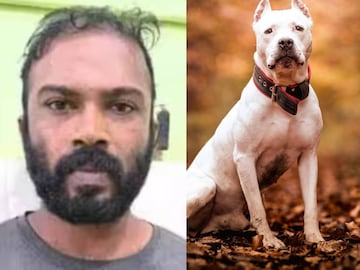 സനൽ