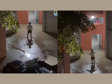 (വീഡിയോ ദൃശ്യം)