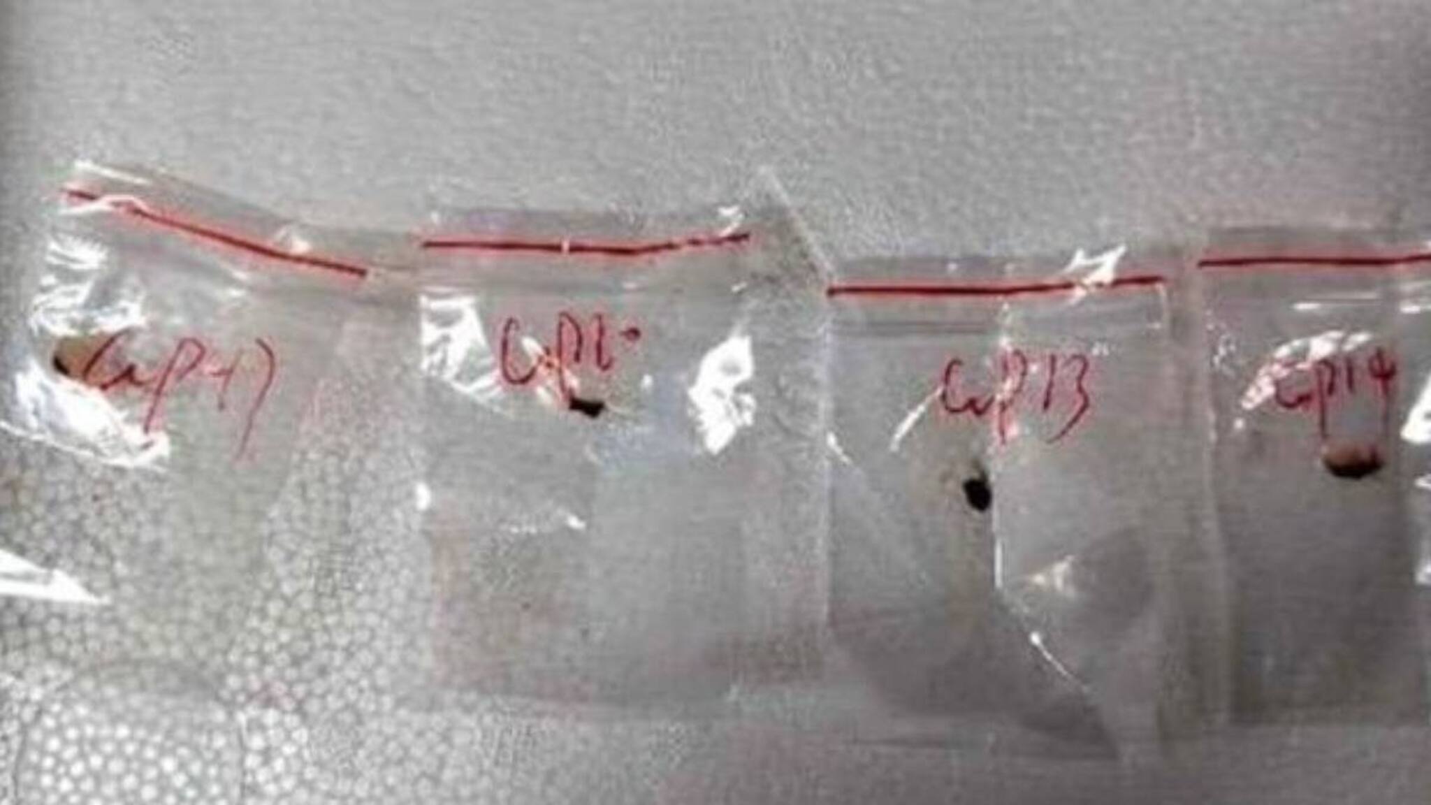 അപകടകാരിയായ പകർച്ച രോഗാണു അമേരിക്കയിലേക്ക് കടത്തിയ 2 ചൈനീസ് ഗവേഷകർ അറസ്റ്റിൽ; ലക്ഷ്യം വിളനാശവും ഭക്ഷ്യ ക്ഷാമവും