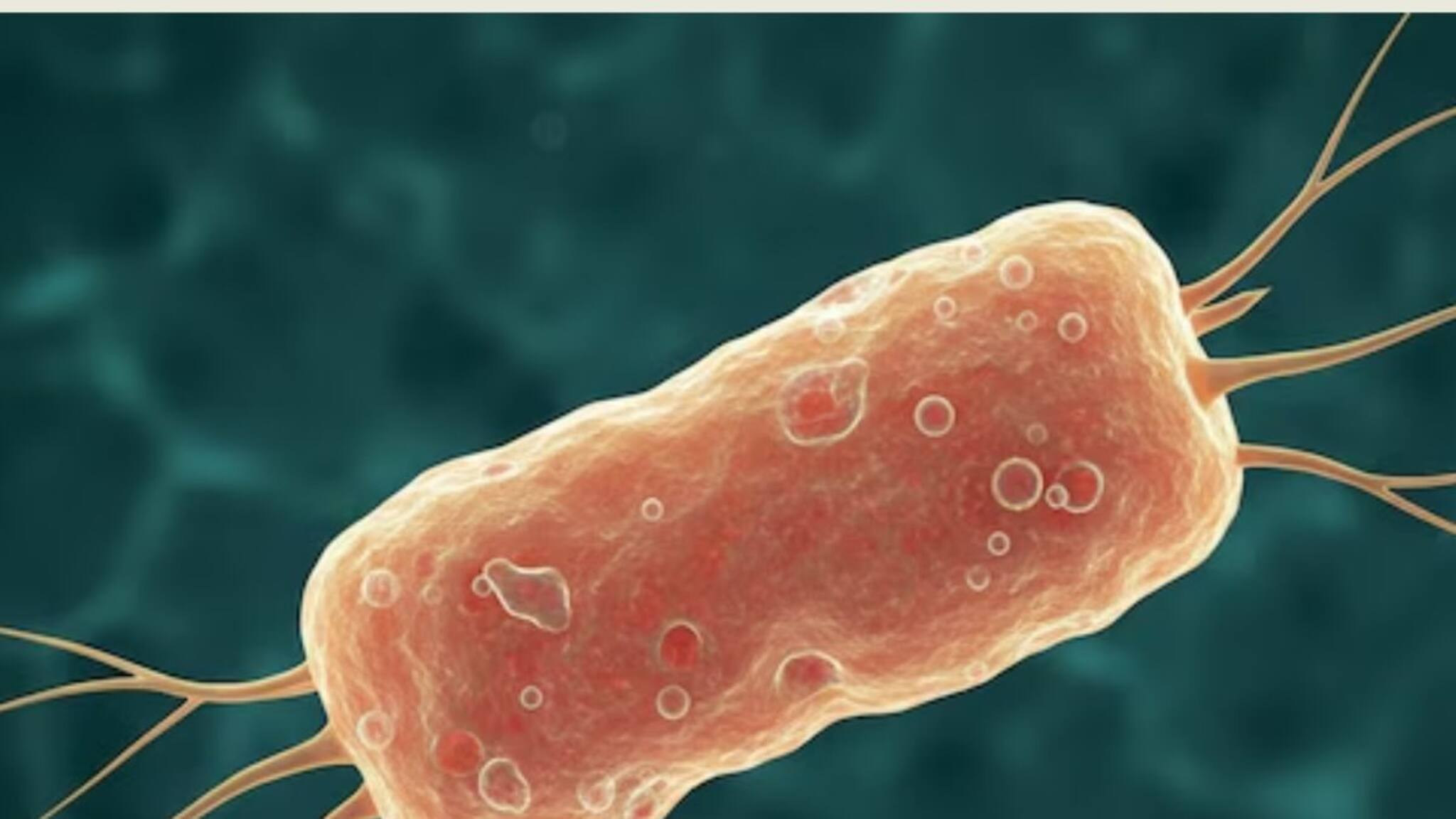 പൈപ്പ് വെള്ളം കൊണ്ട് മൂക്ക് വൃത്തിയാക്കി; തലച്ചോര്‍ തിന്നുന്ന അമീബ ബാധിച്ച് 71- കാരിക്ക് ദാരുണാന്ത്യം